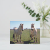 Norwegische Fjorde Postkarte (Stehend Vorderseite)