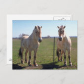 Norwegische Fjorde Postkarte (Vorne/Hinten)