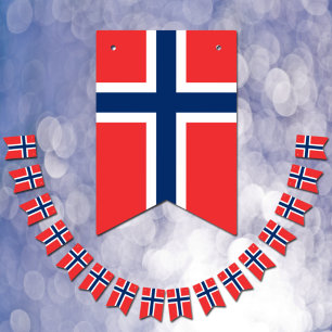 Norwegische Flagge & Party Norwegen Banner / Hochz