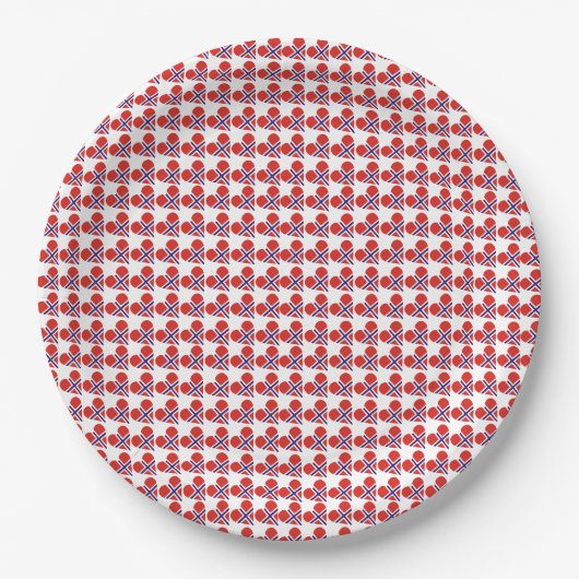 Norwegische Flaggenherzen Pappteller (Vorderseite)