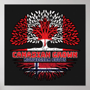 Norwegische kanadische Baumrinde-Fahne Poster