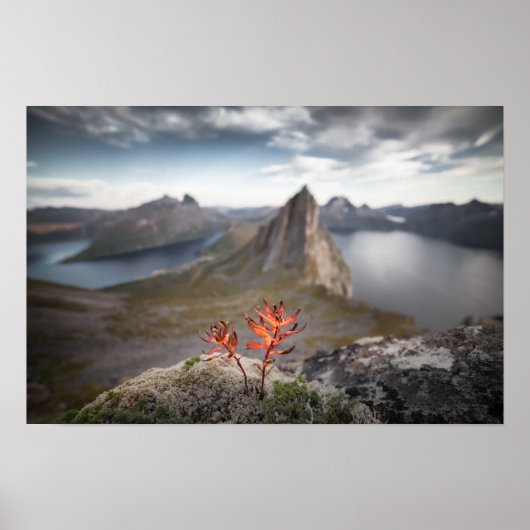 Norwegische Landschaft Poster (Vorne)