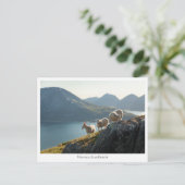 Norwegische Schafe Postkarte (Stehend Vorderseite)