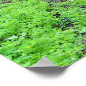 Norwegische Schulkinder im Norwegischen Volksmuseu Poster (Ecke)