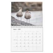 Norwegische Vögel 2026 Kalender (Mär 2027)