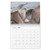 Norwegische Vögel 2026 Kalender (Jan 2026)