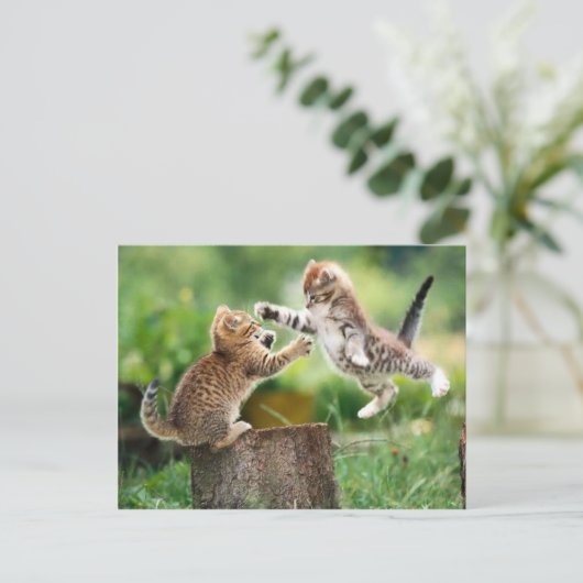 Norwegische Waldkätzchen Postkarte (Stehend Vorderseite)