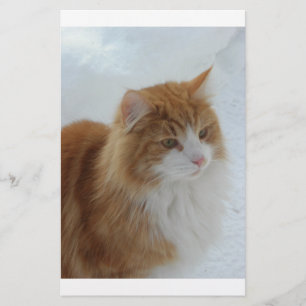 Norwegische_Waldkatze Briefpapier