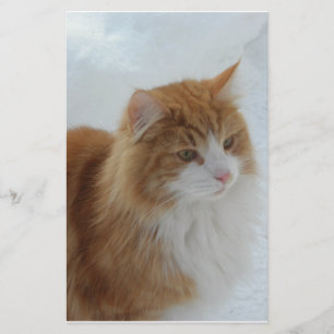 Norwegische_Waldkatze Briefpapier