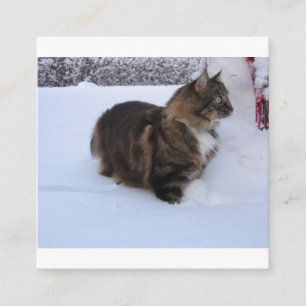 Norwegische Waldkatze im Schnee Begleitkarte