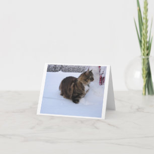 Norwegische Waldkatze im Schnee Einladung