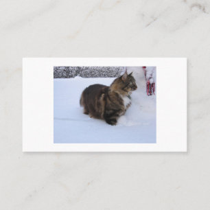 Norwegische Waldkatze im Schnee Empfehlungskarte