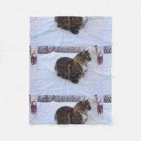 Norwegische Waldkatze im Schnee