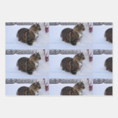 Norwegische Waldkatze im Schnee Geschenkpapier Set (Vorderseite 3)