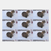 Norwegische Waldkatze im Schnee Geschenkpapier Set (Vorderseite)