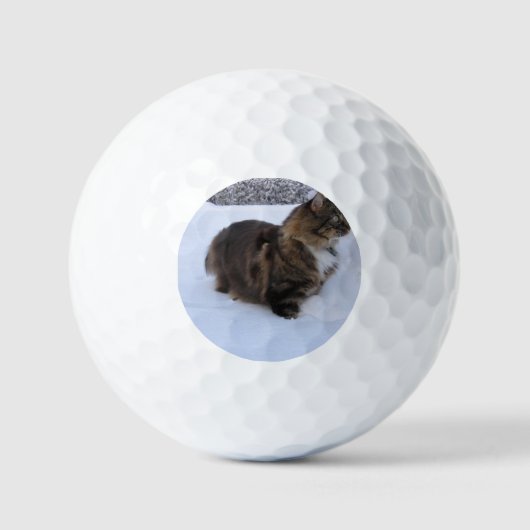 Norwegische Waldkatze im Schnee Golfball (Vorderseite)