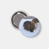 Norwegische Waldkatze im Schnee Magnet (Vorderseite/Rückseite)