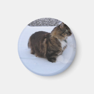 Norwegische Waldkatze im Schnee Magnet