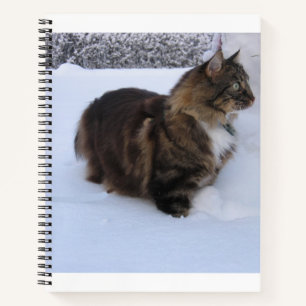 Norwegische Waldkatze im Schnee Notizblock