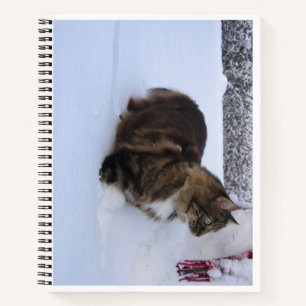 Norwegische Waldkatze im Schnee Notizblock