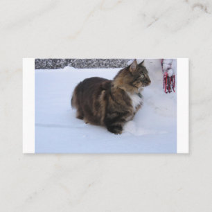 Norwegische Waldkatze im Schnee Platzkarte