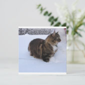 Norwegische Waldkatze im Schnee Programm (Stehend Vorderseite)
