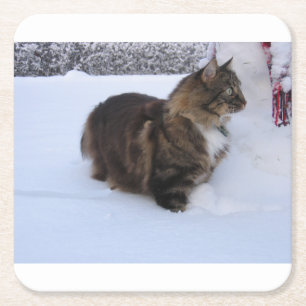 Norwegische Waldkatze im Schnee Rechteckiger Pappuntersetzer