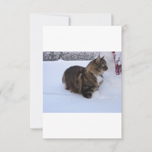 Norwegische Waldkatze im Schnee Save The Date (Vorderseite)