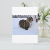 Norwegische Waldkatze im Schnee Save The Date (Stehend Vorderseite)