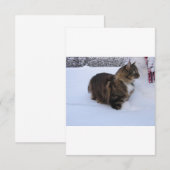 Norwegische Waldkatze im Schnee Save The Date (Vorne/Hinten)