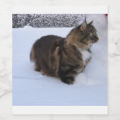 Norwegische Waldkatze im Schnee Weinetikett (Einzelnes Label)