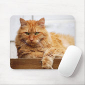 Norwegische Waldkatze, König der Katzen Mousepad (Mit Mouse)