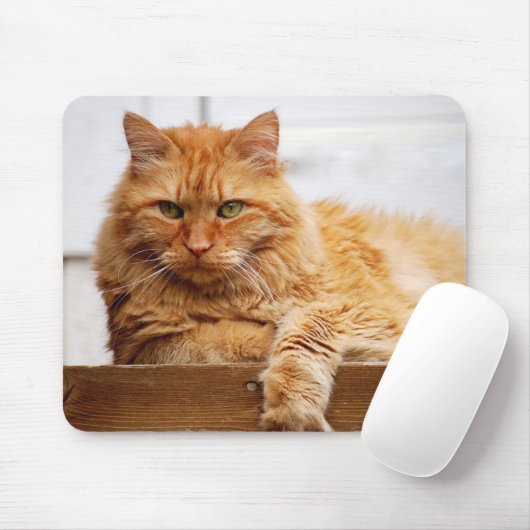 Norwegische Waldkatze, König der Katzen Mousepad (Mit Mouse)