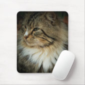 Norwegische Waldkatze Mousepad (Mit Mouse)