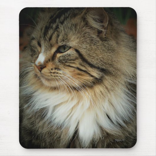 Norwegische Waldkatze Mousepad (Vorne)