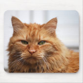 Norwegische Waldkatze Mousepad (Vorne)