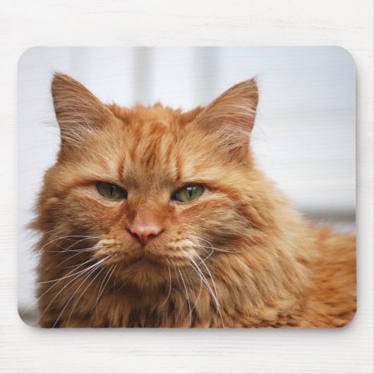 Norwegische Waldkatze Mousepad (Vorne)