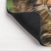 Norwegische Waldkatze Mousepad (Ecke)