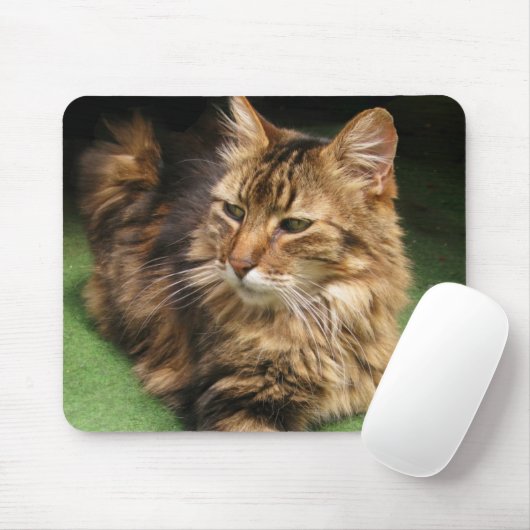 Norwegische Waldkatze Mousepad (Mit Mouse)