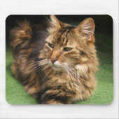 Norwegische Waldkatze Mousepad (Vorne)