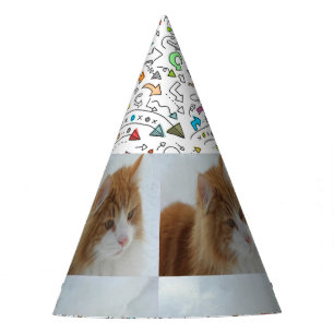 Norwegische_Waldkatze Partyhütchen