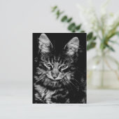 Norwegische Waldkatze Postkarte (Stehend Vorderseite)