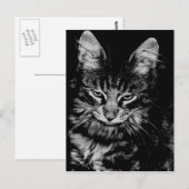 Norwegische Waldkatze Postkarte (Vorne/Hinten)