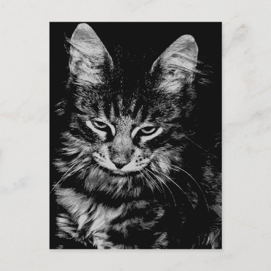 Norwegische Waldkatze Postkarte (Vorderseite)