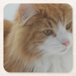Norwegische_Waldkatze Rechteckiger Pappuntersetzer