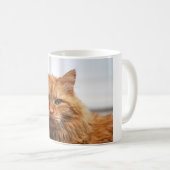 Norwegische Waldkatze-Tasse Kaffeetasse (VorderseiteRechts)