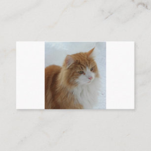 Norwegische_Waldkatze Treuekarte