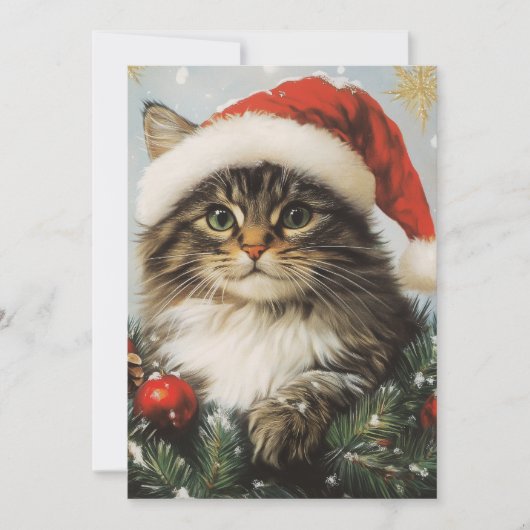 Norwegische Waldkatze Weihnachten (Vorderseite)