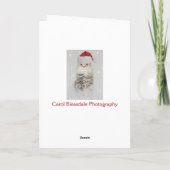 Norwegische Waldkatzen-Weihnachtskarte Feiertagskarte (Rückseite)