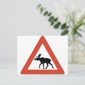 Norwegischer Elch Postkarte (Stehend Vorderseite)